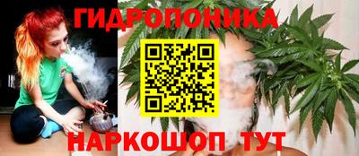PSILOCYBIN Мариинск