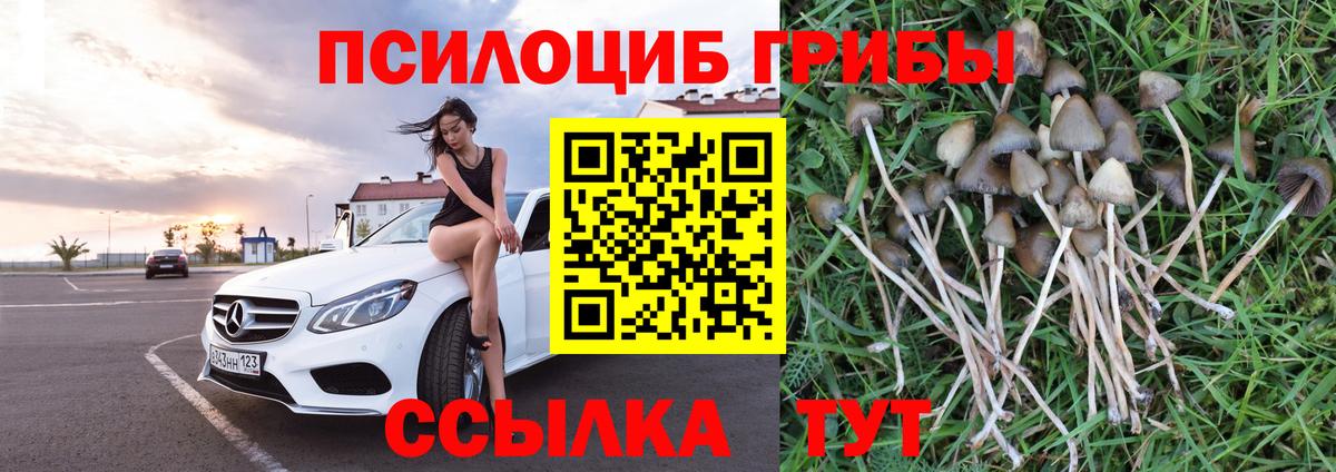 Галлюциногенные грибы Magic Shrooms Бугуруслан